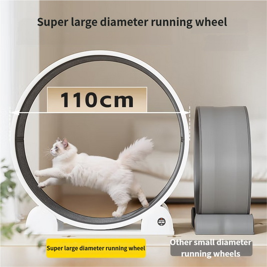 🐾Cat Running Wheel for Indoor Exercise and Play, Perfect for Active Cats