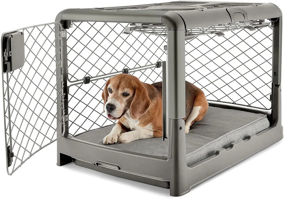 ✨Collapsible Dog Crate with Wheels, Premium Portable Dog Crate