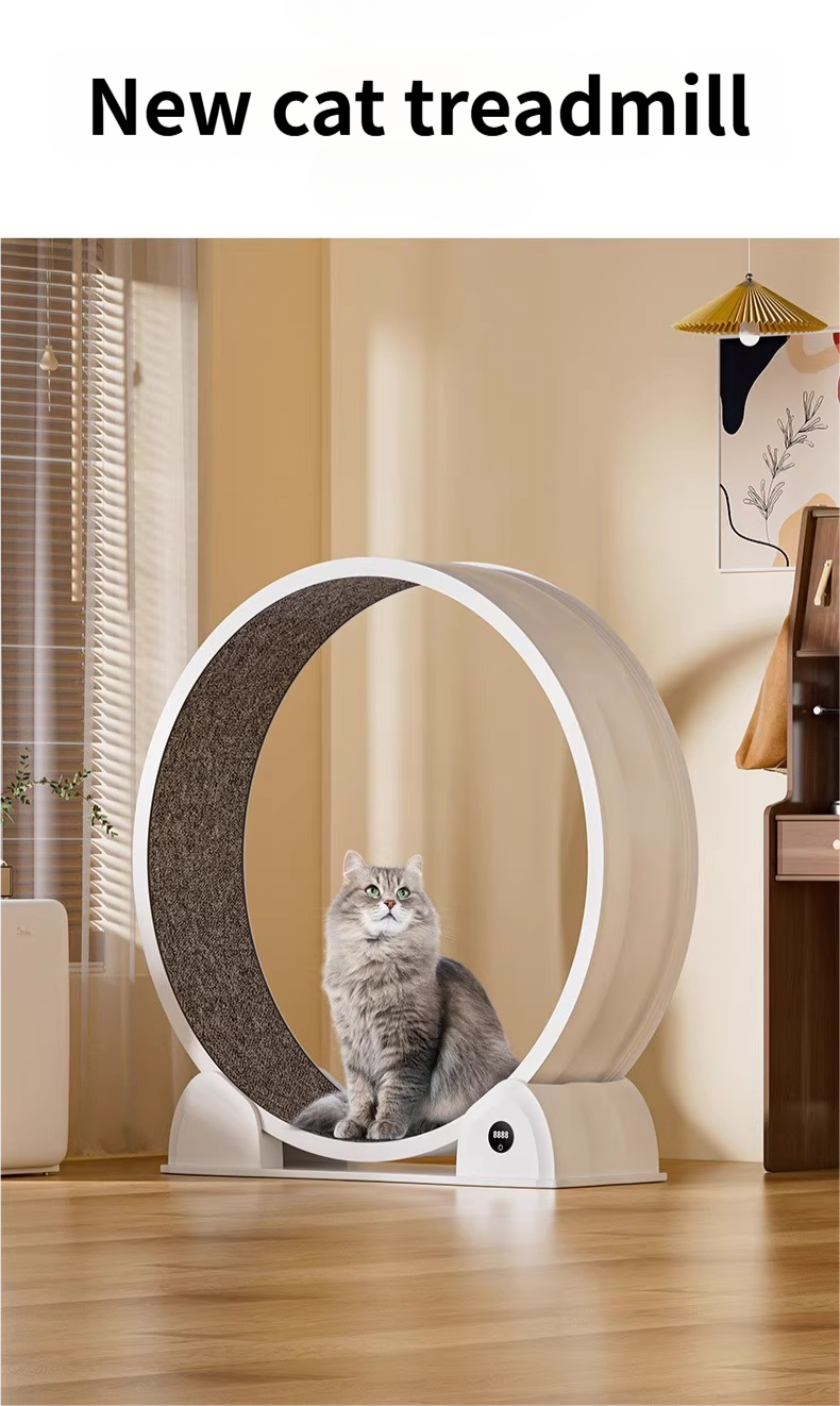 🐾Cat Running Wheel for Indoor Exercise and Play, Perfect for Active Cats