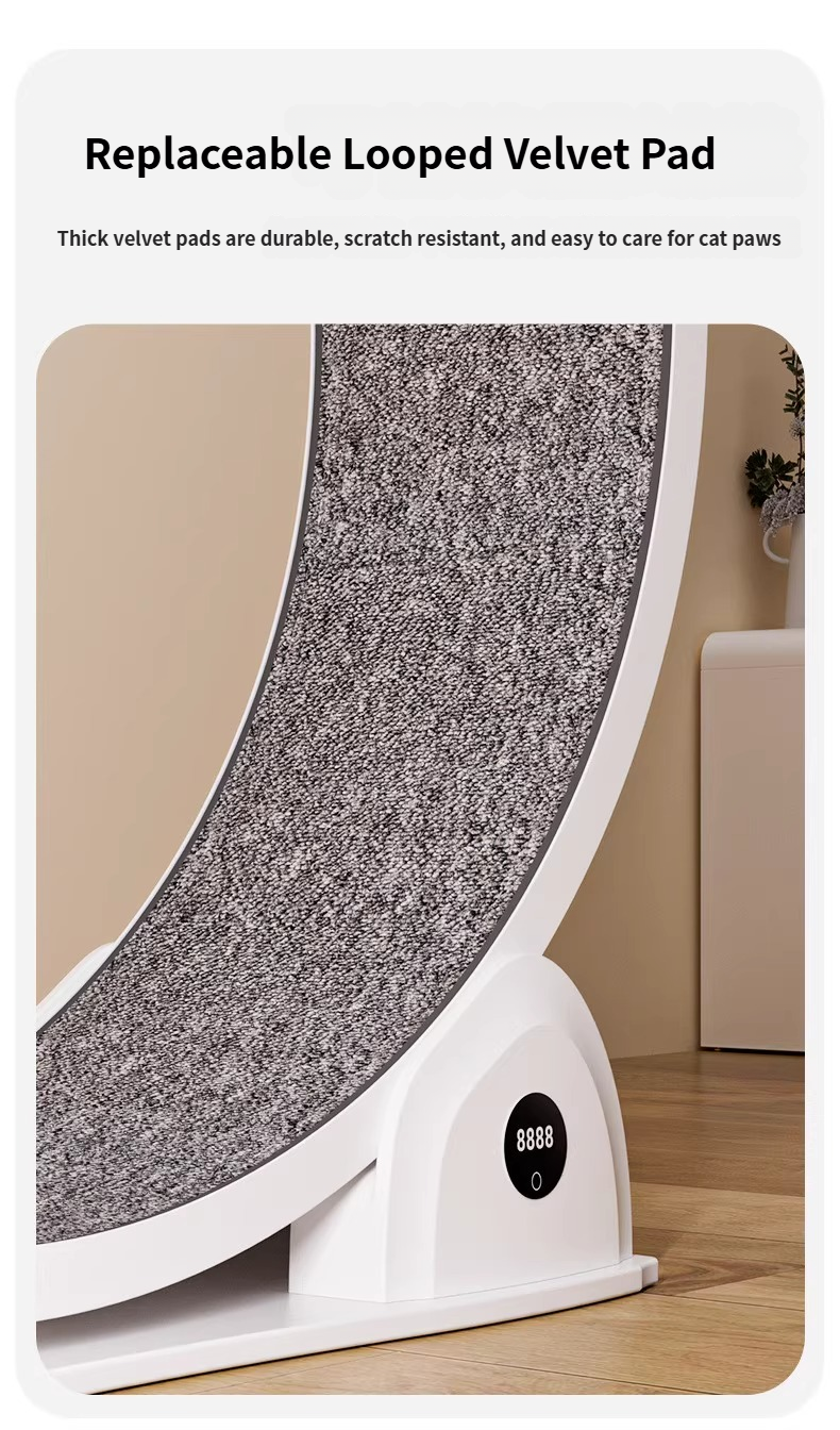 🐾Cat Running Wheel for Indoor Exercise and Play, Perfect for Active Cats