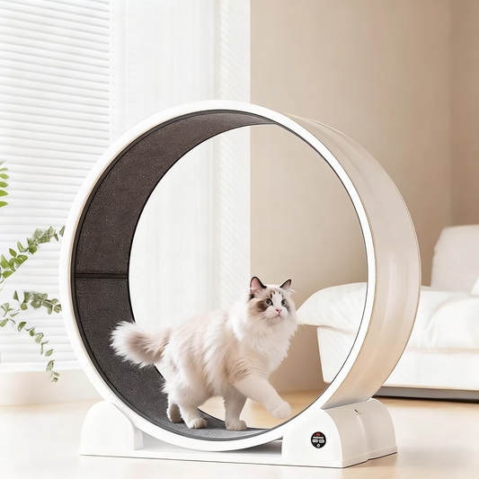 🐾Cat Running Wheel for Indoor Exercise and Play, Perfect for Active Cats