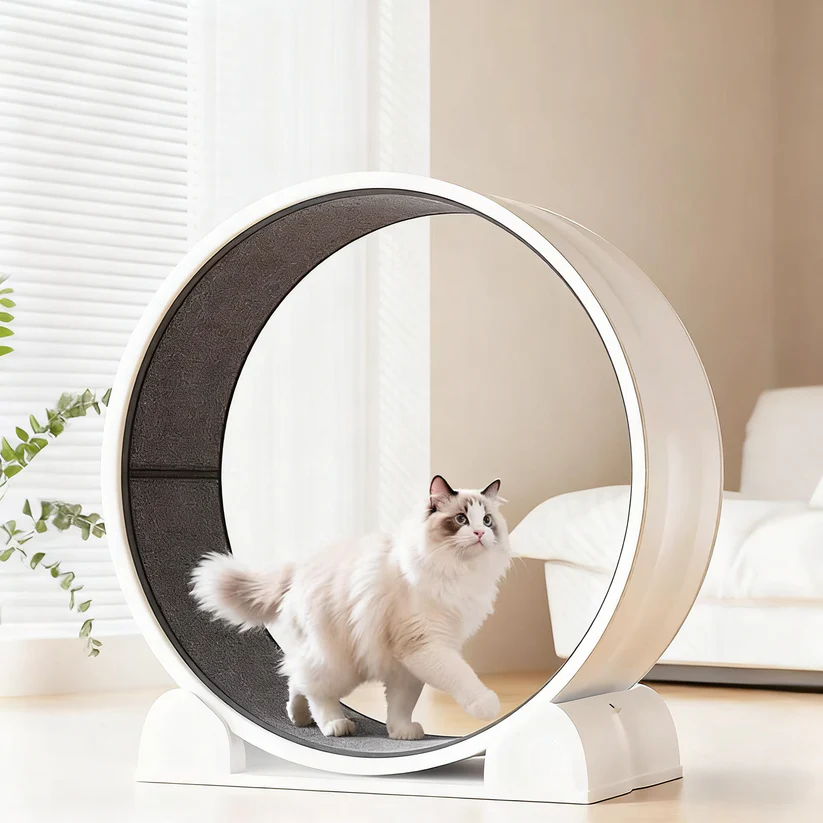 🐾Cat Running Wheel for Indoor Exercise and Play, Perfect for Active Cats